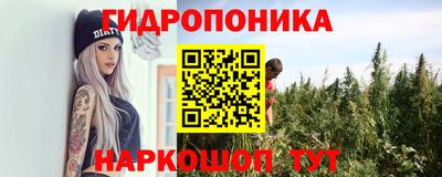 СК Моздок